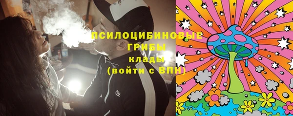 mdma Заводоуковск